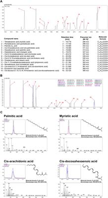 Subinhibitory concentrations of antibiotics affect development and parameters of Helicobacter pylori biofilm